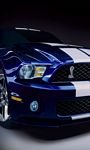 pic for  Shelby Gt500